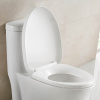 Inodoro con sifón de doble descarga American Best Flushing, 1 pieza para baño