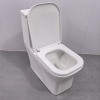 Inodoro de una pieza blanco con nuevo diseño de moda, inodoro sin borde, altura cómoda
