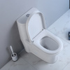 Inodoro con sifón de doble descarga American Best Flushing, 1 pieza para baño