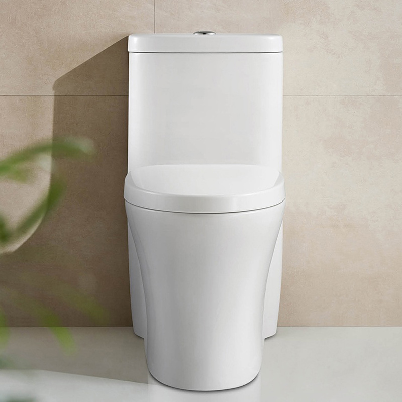 Comfort Height S-Trap Single Piece Toilet With Finish Cleaning Glaze