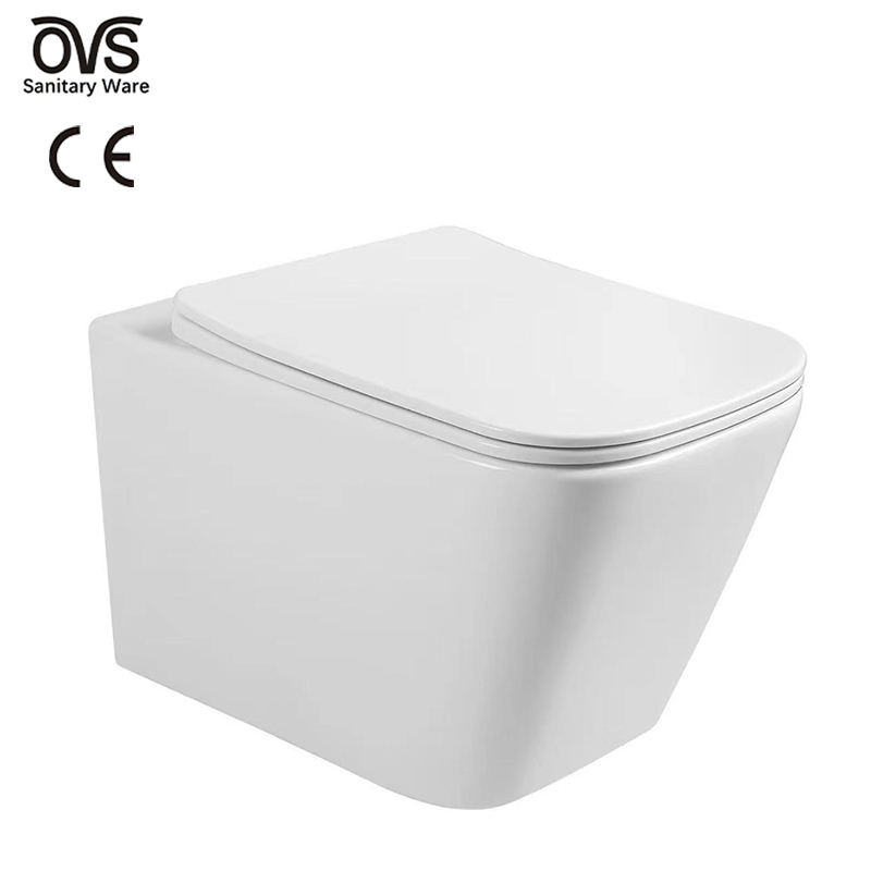 Water Efficient Toilets - OVS